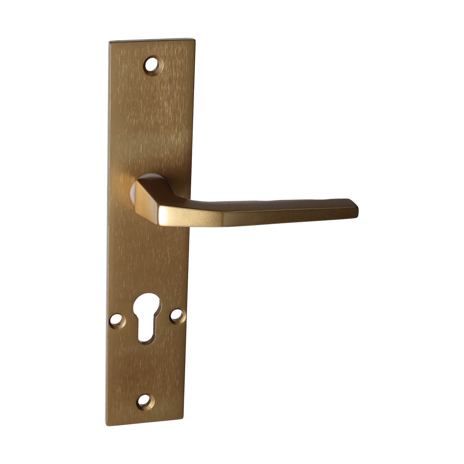 Placa interior Dieckmann | Con orificios para tornillos pasantes | Para escudo de seguridad - Imagen 3