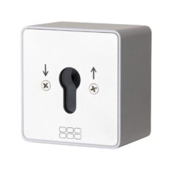 Maasland SM2T | Selector de llave | Contacto de impulso a dos lados | De sobreponer